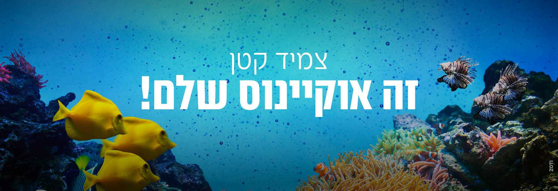 תמונת נוף אושן