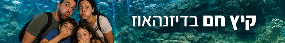 קיץ חם בדיזנהאוז